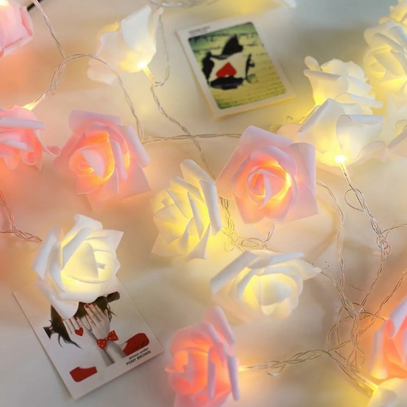 NEW! WHITE AESTHETIC PLASTIC ROSE STRING LIGHTS - Picture 5 of 7